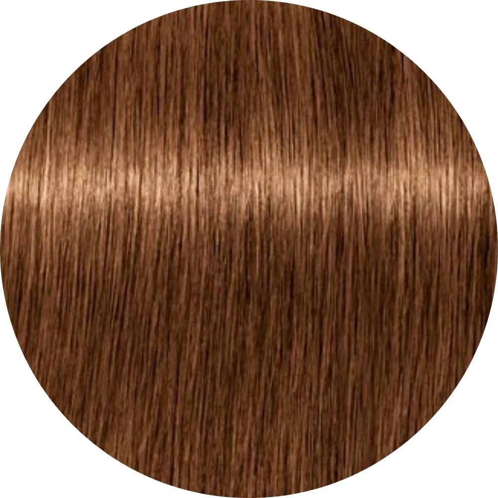 Schwarzkopf Absolute Igora Royal Dark Blonde Age Blend 7-450