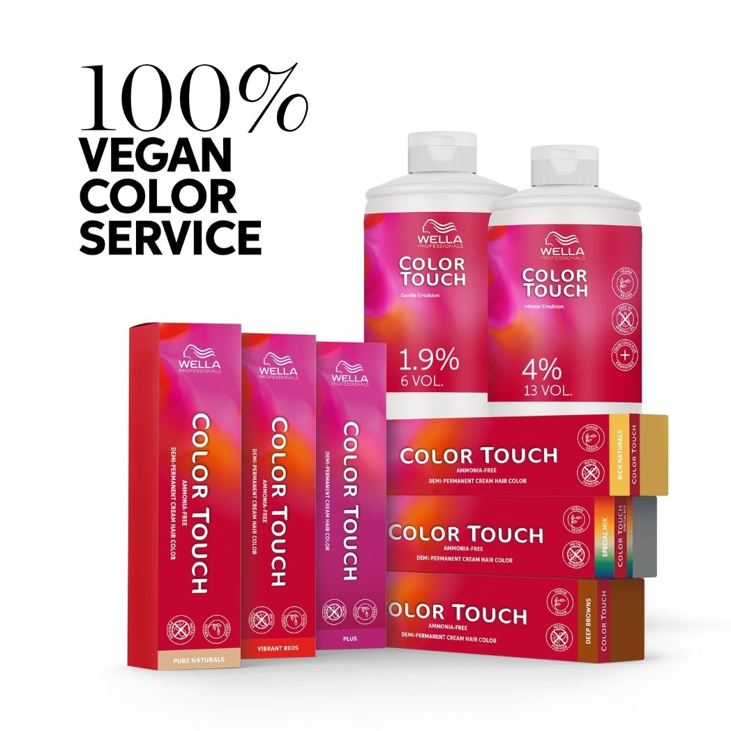 Wella Professionals - Color Touch Demi-Permanent Color No. 10/01