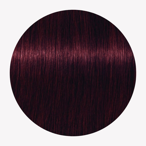 Schwarzkopf Igora Royal Permanent Color No. 4-99 – Éléganza